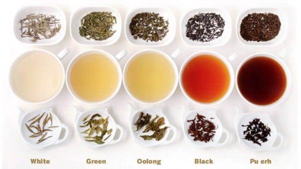 Nguyên liệu trà cho ngành pha chê đồ uống