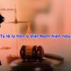 10 nguyên nhân dẫn đến tỷ lệ ly hôn ở Việt Nam hiện nay tăng cao