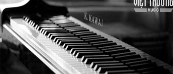 7 mẹo vặt giúp bạn chọn đàn Piano tốt nhất